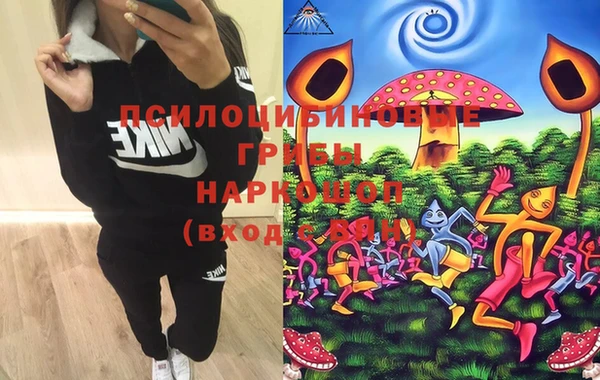 MDMA Дмитровск