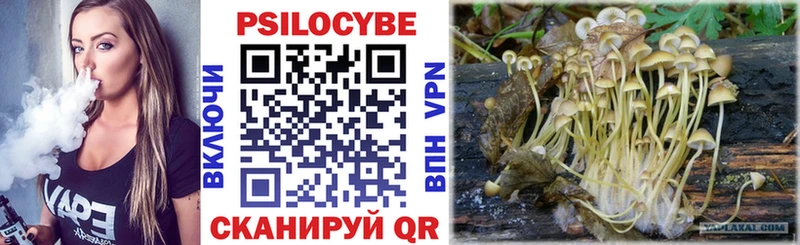 Псилоцибиновые грибы мухоморы  Воронеж 
